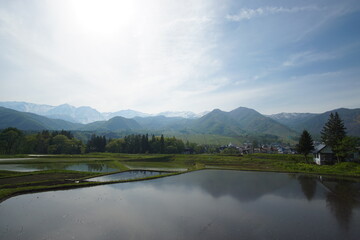 Fototapeta premium Spring has come in countryside of Japan, mountains and rice fields in Hakuba 