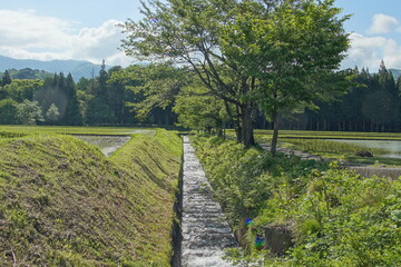 Fototapeta na wymiar Spring has come in countryside of Japan, Hakuba 