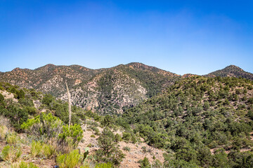 Coronado Trail Scenic Byway View