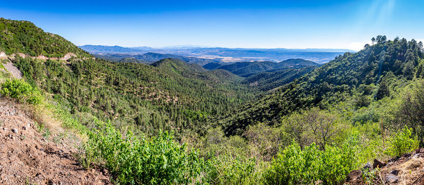 Coronado Trail Scenic Byway View
