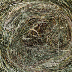 the texture of the hay rolled into a round bale by a large stick
