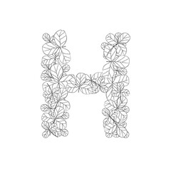 letter h