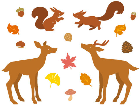 木の実 Images Browse 23 495 Stock Photos Vectors And Video Adobe Stock