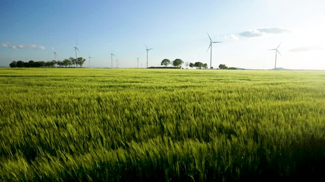 Landscape Of Lush Green Fields And Wind Turbines In Zlotoryja, Poland.  - panning shot