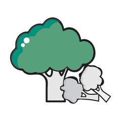 broccoli