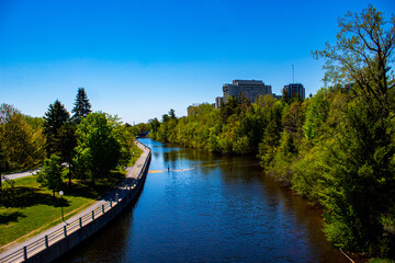 Fototapeta premium river in the park