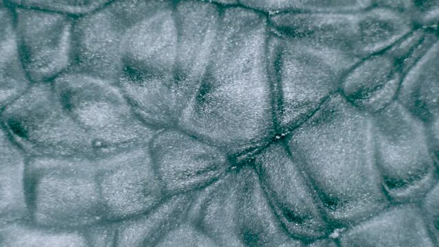 Aluminum powder paint pigment particle convection movement in solvent acetone simulating Suns surface granules