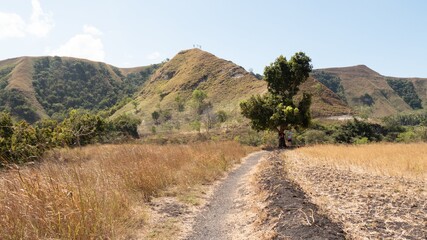 Dry landscape in Sumba Indonesia - July 2019