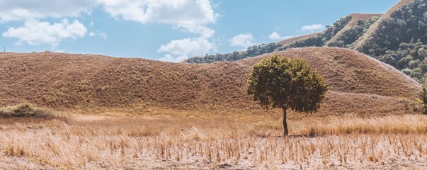 Dry landscape in Sumba Indonesia - July 2019