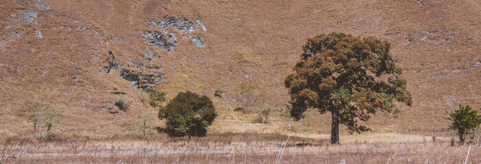 Dry landscape in Sumba Indonesia - July 2019