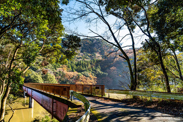 【千葉県】紅葉時期の亀山湖