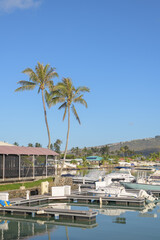 view of the harbor of KOKO MARINA