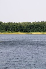 Lake and forest. Beautiful landscape.