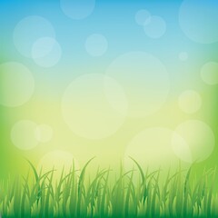 grass background