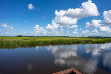Fototapeta premium Perfect day on Jones Creek Midway Georgia