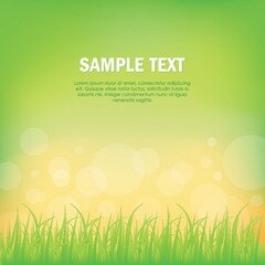 Obraz premium grass background
