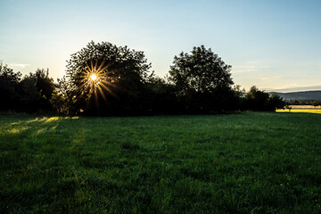 in aller Frühe