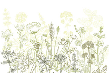 vector drawing floral vintage template © cat_arch_angel