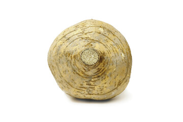 Yam bean, jicama turnip, closeup head view, isolated on white background.