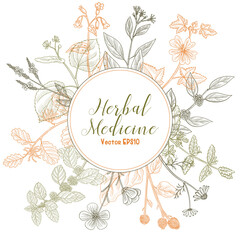 vector drawing floral vintage template