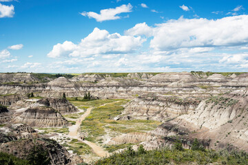 Fototapeta na wymiar A summer view of Horseshoe Canyon in Alberta Canada where people practice social distancing amid Covid 19.