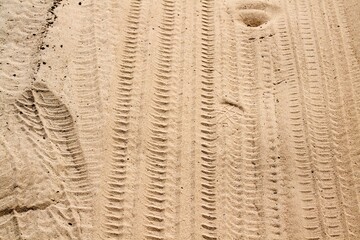 Traces of car wheels in the sand.