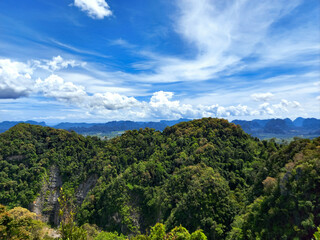 Obraz premium Trees and mountains, the background is sky
