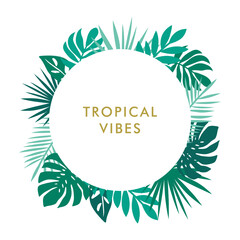 tropical vibes round background with monstera palm and leaves