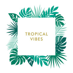 tropical vibes background with monstera palm and leaves