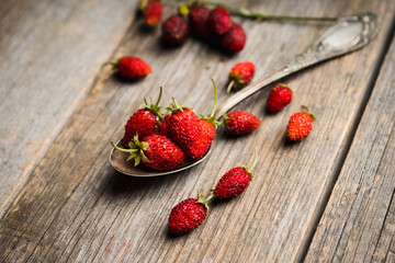 Red ripe wild strawberry in old vintage spoon on the rustic background. Selective focus. Shallow depth of field.
