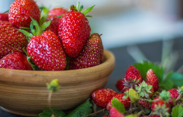 a full clay Cup of red juicy strawberries and small strawberries on a wooden background