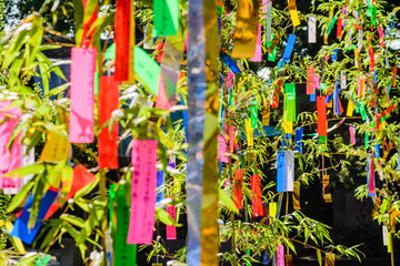 Fototapeta premium 日本の夏 七夕祭り