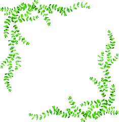 Fototapeta premium A frame of eucalyptus leaves