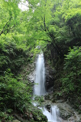Obraz premium Hossawa Falls in Hinohara village ,japan,tokyo