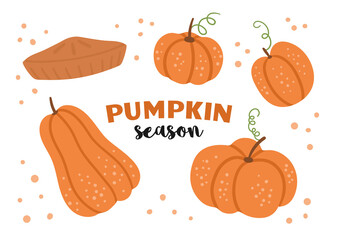 Vector set of cute pumpkins and pie. Autumn vegetables collection. Flat style orange squash pack. Funny veggie illustration isolated on white background.
