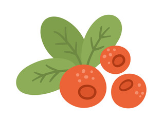 Vector cute cranberry. Autumn woodland red berry. Funny flat style illustration isolated on white background. Forest food icon.