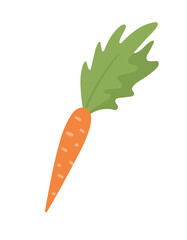 Vector cute carrot. Autumn vegetable. Flat style orange veggie. Funny illustration isolated on white background. Healthy food icon.