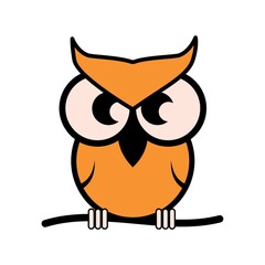 owl