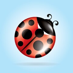 Obraz premium ladybug