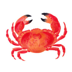 Watercolor colorful crab. Hand drawn illustration. Isolated on white