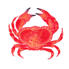 Watercolor colorful crab. Hand drawn illustration. Isolated on white
