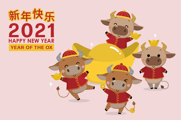 Obraz na płótnie Canvas Happy Chinese new year greeting card. 2021 Ox zodiac. Cute cow in red costume and gold money. Animal holidays cartoon character. Translated: Happy new year. -Vector