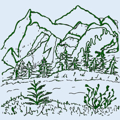 Wild coniferous forest poster with mountain pine, landscape nature, tree natural panorama tourism, design template hand-drawn illustration, sketching