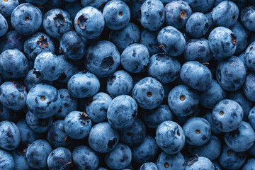 Fresh blueberries close up Blueberry background - obrazy, fototapety, plakaty