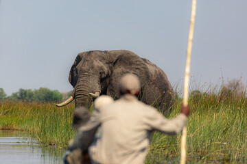 Exiting the Okavango Delta in Botswana  by mokoro 