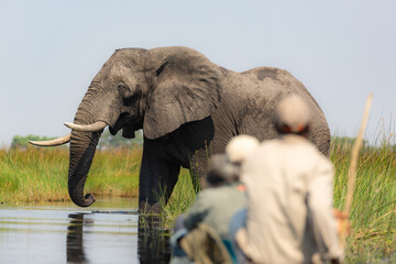 Exiting the Okavango Delta in Botswana  by mokoro 