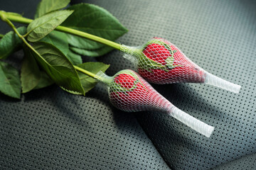 red roses in a protective net
