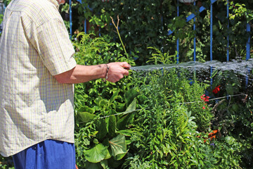 Mann bewässert seinen Garten