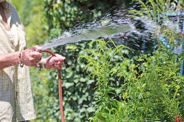 Mann bewässert seinen Garten