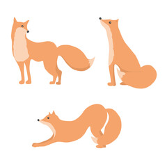 Vector set of cute orange foxes